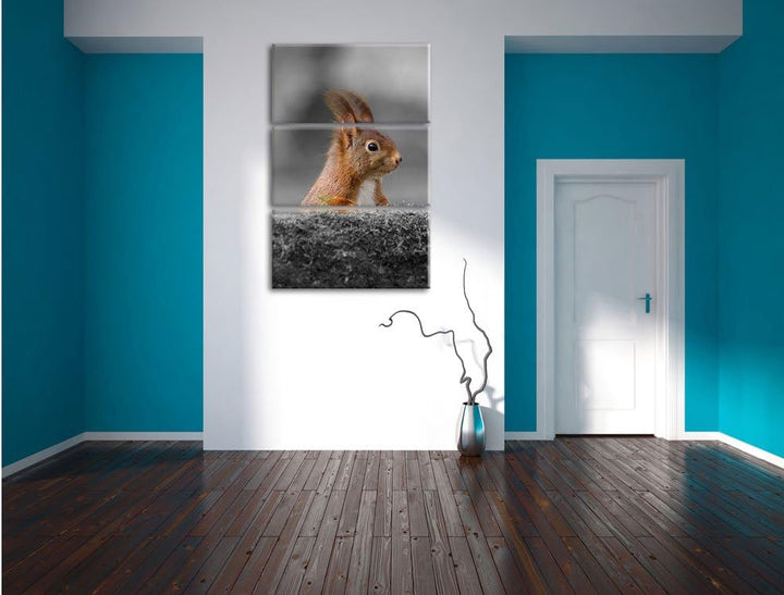Pixxprint lustiges Eichhörchen hinter Baumstamm schwarz/weiss 3-Teiler Leinwandbild 120x80 Bild auf