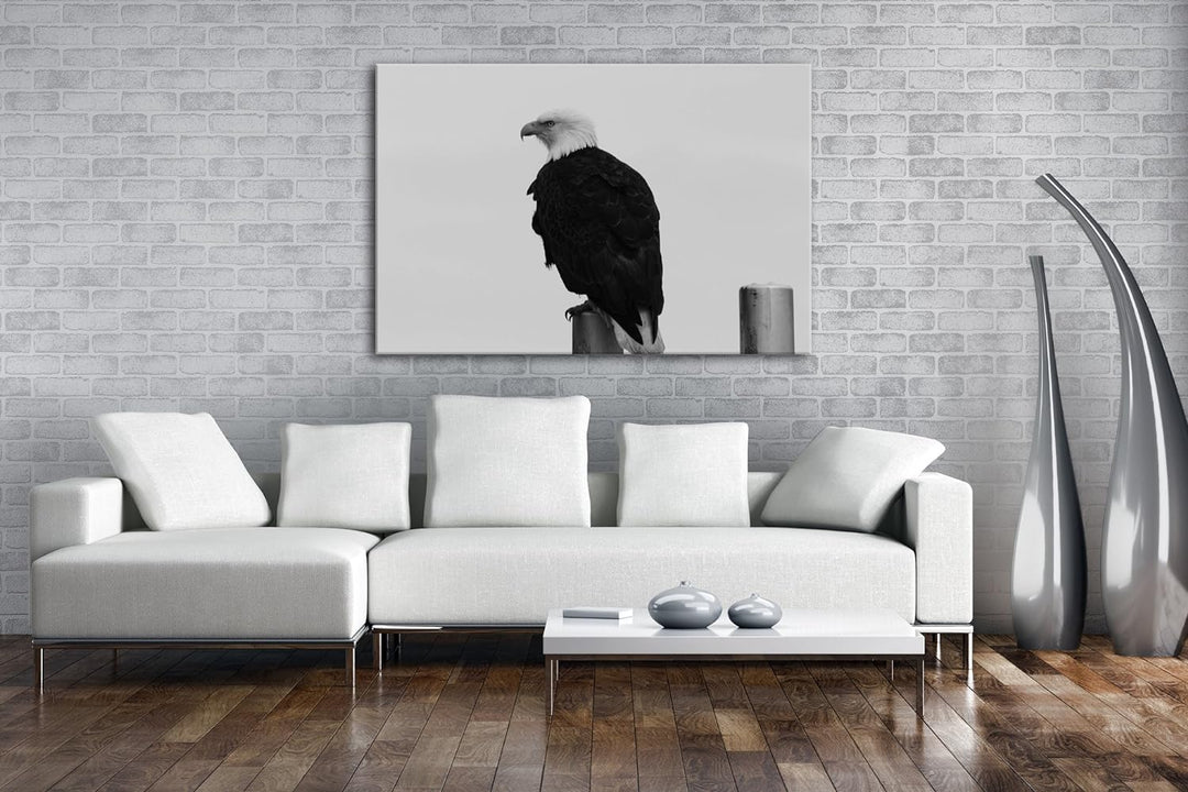 deyoli anmutiger Adler auf Einer Stange Effekt: Schwarz/Weiss Format: 80x60 als Leinwandbild, Motiv