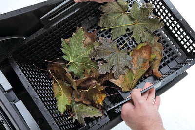 OASE 57137 Einbau-Oberflächenabsauger BioSys Skimmer plus, geeignet für max. 50m², Einbau am Teichra