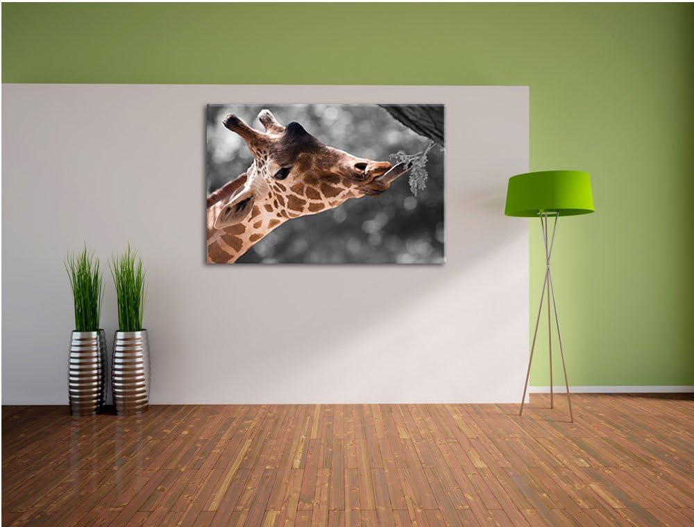 Hungrige Giraffe mit Zweig schwarz/weiss Format: 100x70 auf Leinwand, XXL riesige Bilder fertig gera
