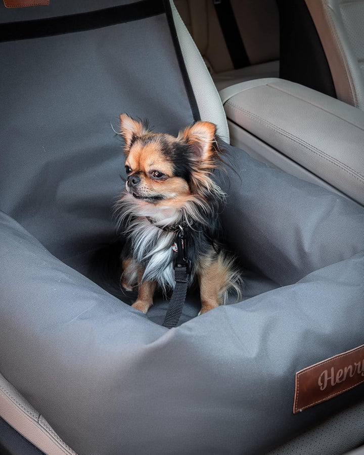 Petsen Personalisierte Hunde Autositz | Hundesitz Auto Rückbank mit Leine| Hundeautositz mit Hundena