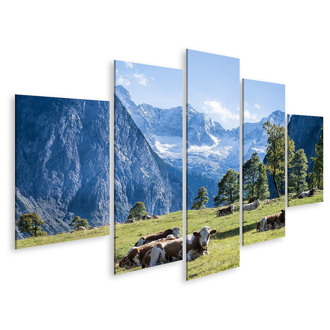 islandburner Bild auf Leinwand Kühe Auf Wiese In Den Bergen Alpen Kuhwiese Bilder Wandbilder Poster