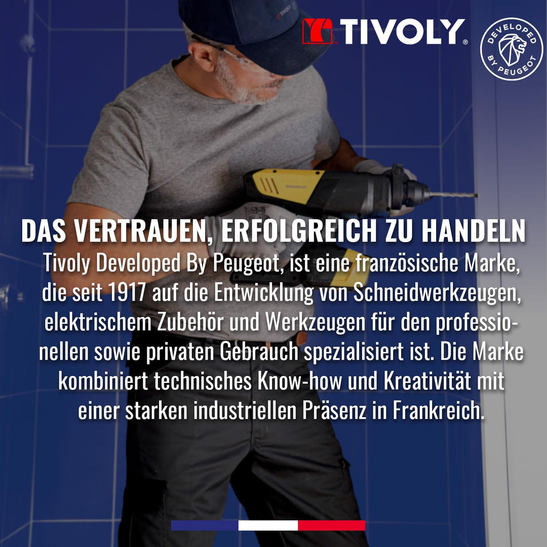 Tivoly 11901170060 T60 Kombi-Koffer für Bohrer und Bits