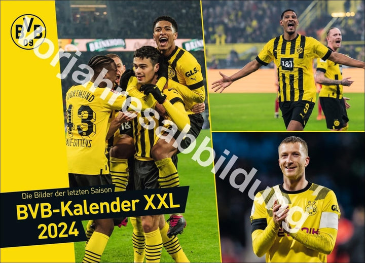 BVB Edition Kalender 2025: Grosser Wandkalender. Einzigartiger Fotokalender mit allen Stars von Boru