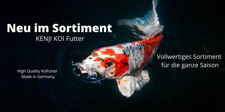 KENJI KOI Daily Food 5kg 3mm - Koifutter für die ganze Saison mit SPIRULINA | Alleinfutter für Koi |
