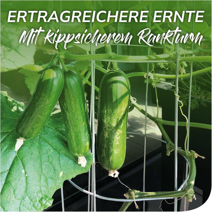 bellissa 3 Stück - Gurken-Turm und Rankhilfe für Gurkenpflanzen und Gemüse – Rank-Gitter für Topfpfl