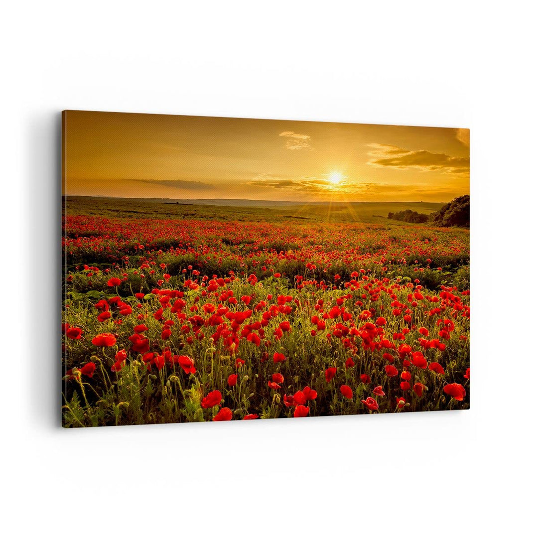 Bilder auf Leinwand 100x70cm Leinwandbild mit Rahmen Mohn Blume Wiese Gross Wanddeko Bild Schlafzimm