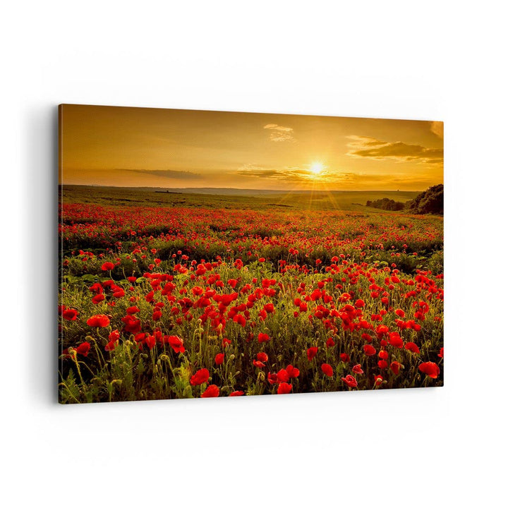 Bilder auf Leinwand 100x70cm Leinwandbild mit Rahmen Mohn Blume Wiese Gross Wanddeko Bild Schlafzimm