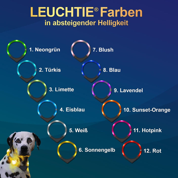 LEUCHTIE® Leuchthalsband Plus hotpink Grösse 47,5 I LED Halsband für Hunde I 100 h Leuchtdauer I was