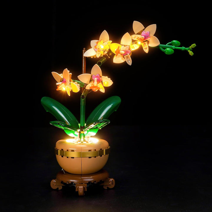 LocoLee Licht Set Kompatibel mit Lego 10343 Mini Orchidee (Kein LEGO-Modell), Licht Beleuchtung Set