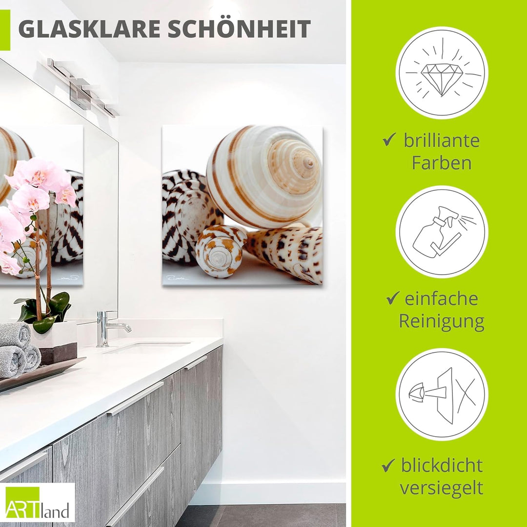 ARTland Glasbilder Wandbild Glas Bild einteilig 40x40 cm Quadratisch Natur Tiere Muscheln Strand Mee