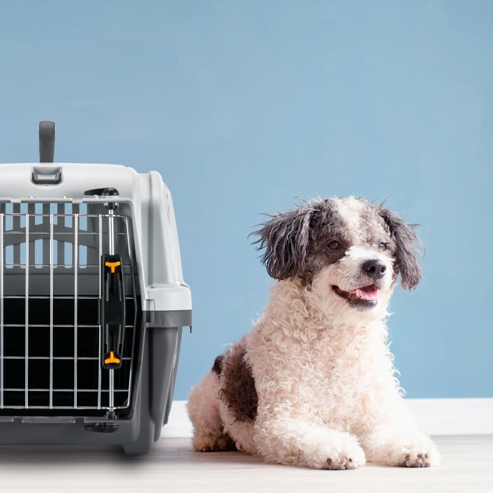 Nobby 72124 Transportbox für mittlere und grosse Hunde Skudo 1 Iata 48 x 31.5 x 31 cm grau L 55 x B