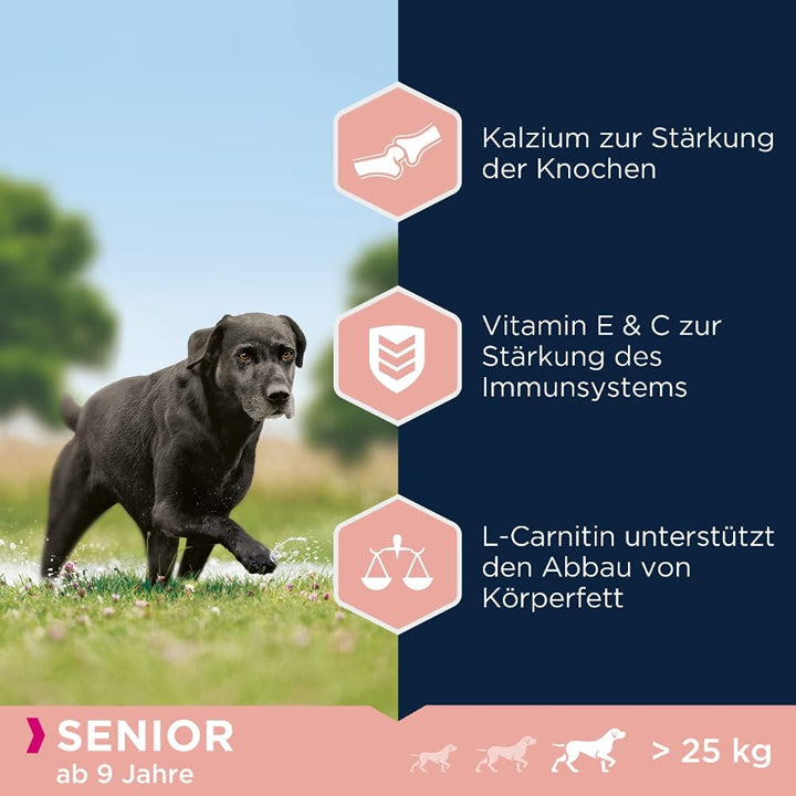 Eukanuba Hundefutter mit frischem Huhn für grosse Rassen, Premium Trockenfutter für Senior Hunde, 15