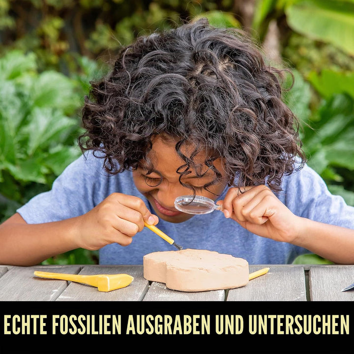 Learning Resources GeoSafari Fossilien-Ausgrabungsset