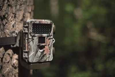 Dorr 12 MP Snapshot Mini HD LED Wildkamera –