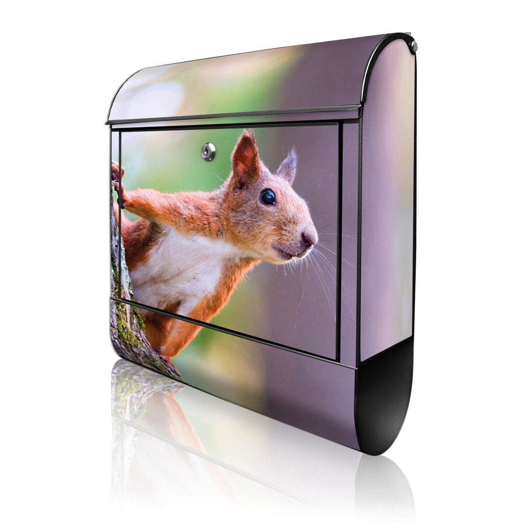 banjado® Design Briefkasten mit Motiv Eichhörnchen 39x47x14cm &amp; 2 Schlüssel - Briefkasten Stahl schw