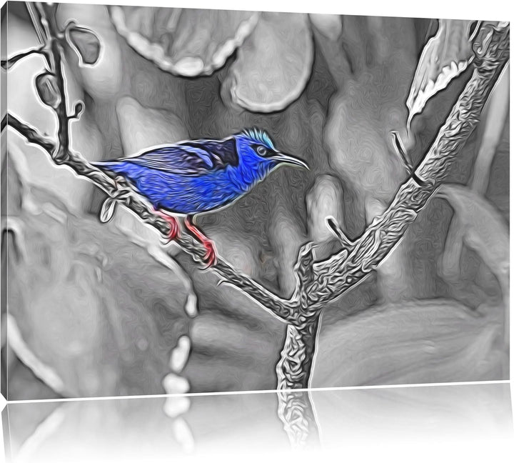bildschöner Türkisnaschvogel auf Zweig schwarz/weiss Deluxe Format: 100x70 cm auf Leinwand, XXL ries