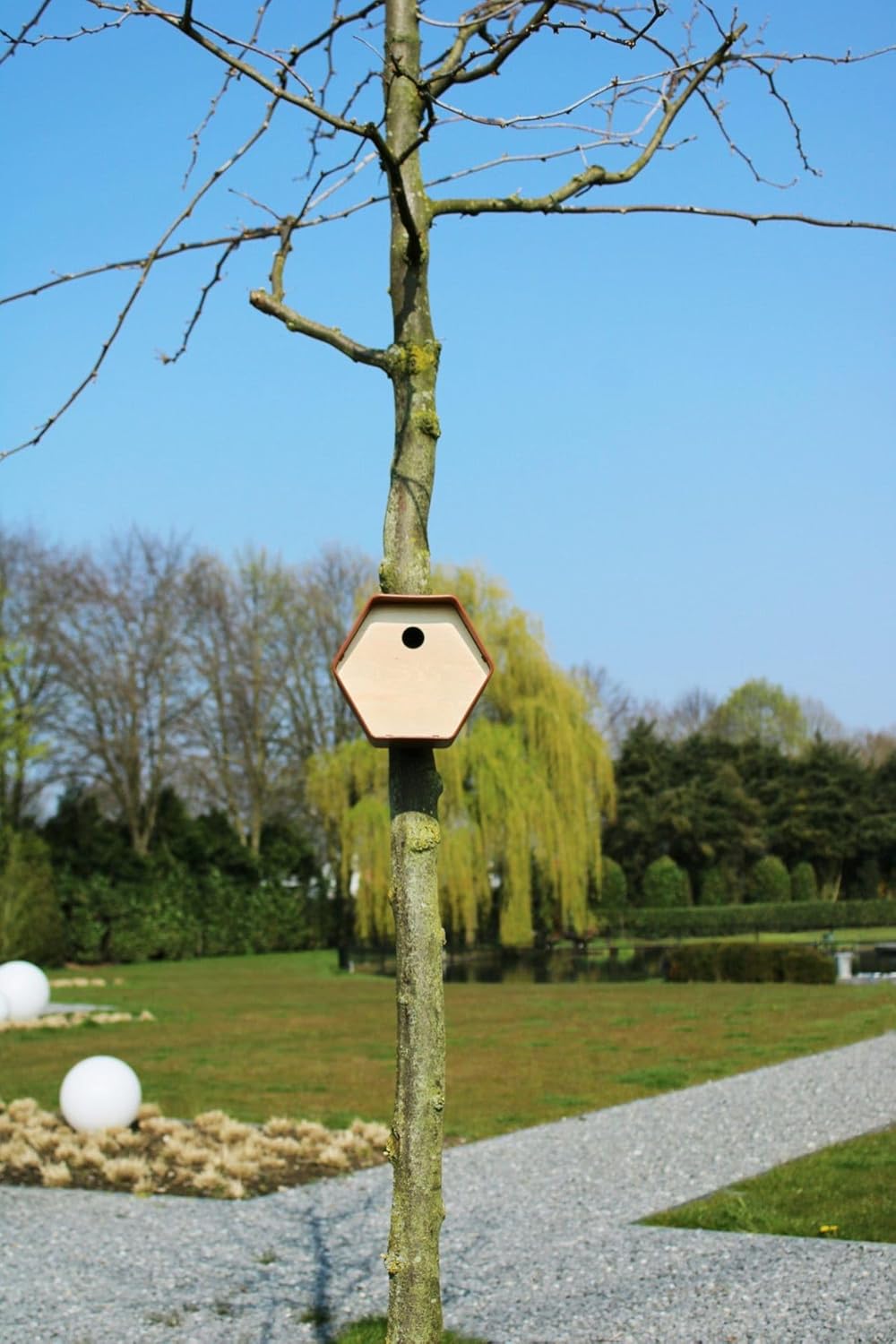 Capi Europe - Vogelhaus rund Hive - 19x23x20 - Grün - CAPI Biodiversity Hive - AHBIG001 Grün Hive -