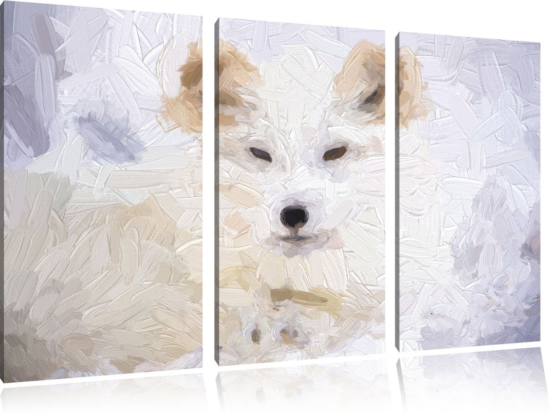 Pixxprint weisser Fuchs als Leinwandbild/Grösse: 3 Teilig (120x80) cm/Wandbild/Kunstdruck/fertig bes