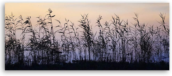 Feeby Wanddeko Natur Leinwandbild Kunstdruck für Schlafzimmer Grau 100x40 cm Leinwandbild 100x40 cm