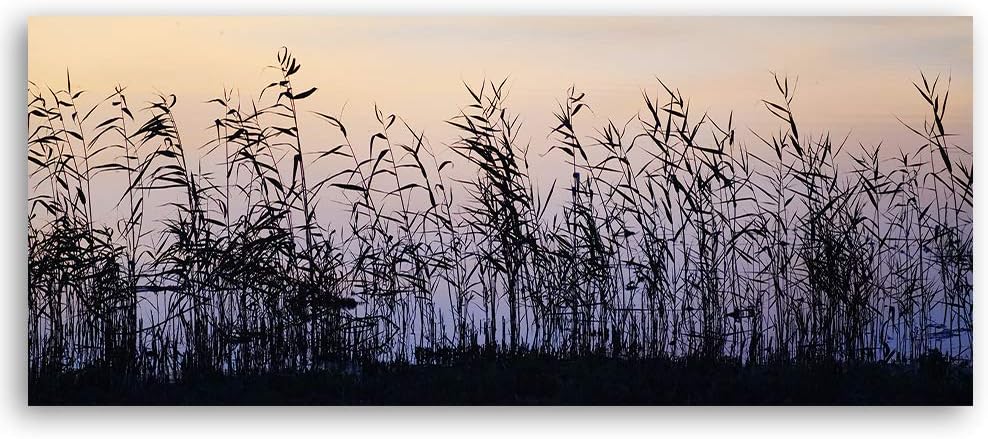 Feeby Wanddeko Natur Leinwandbild Kunstdruck für Schlafzimmer Grau 100x40 cm Leinwandbild 100x40 cm