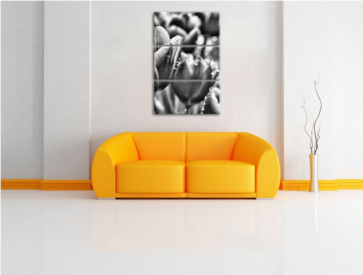 Pixxprint Tulpen mit Morgentau als Leinwandbild/Grösse: 3 Teilig (120x80) cm/Wandbild/Kunstdruck/fer