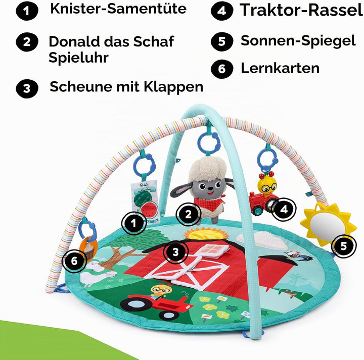 Baby Einstein Farm Explorers Happy Harvest Touch &amp; Feel Aktivitätsspielzeug mit musikalischem Plüsch