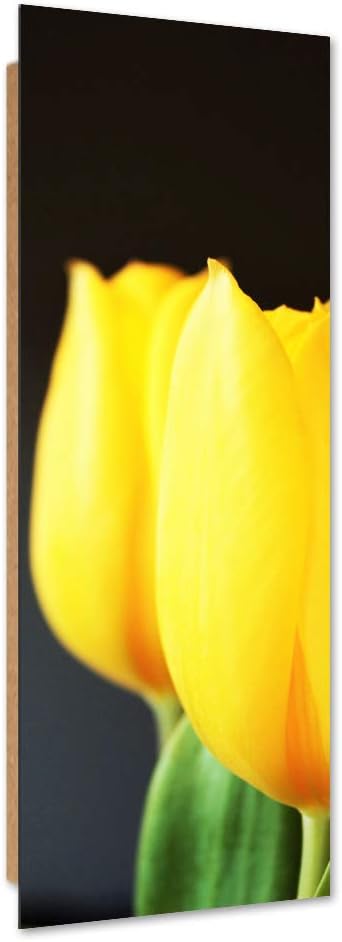 Feeby Wandbild XXL Tulpen Deko Kunst Bilder Blumen Gelb 60x150 cm Deko Paneel 60x150 cm Gelb_a, Deko