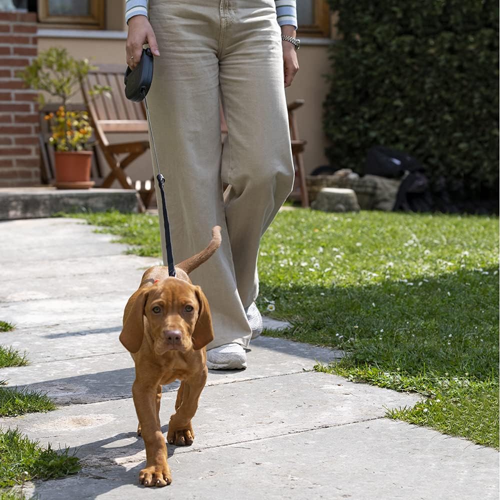 Ferplast Hundeleine Flippy ONE, Rollleine mittelgrosse Hunde bis 20 kg. Ausziehbare Schnur max. 5 m.