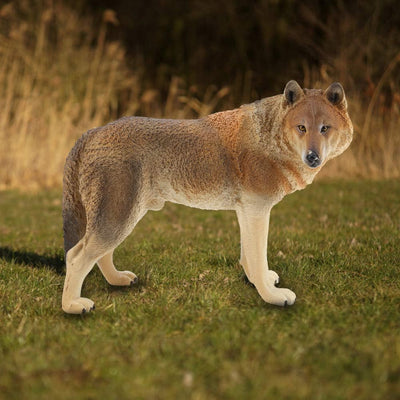 Wolf Figur, Miniatur Solid Plastic Simulation Wildlife Tiermodell Pädagogisches Spielzeug Dekorative