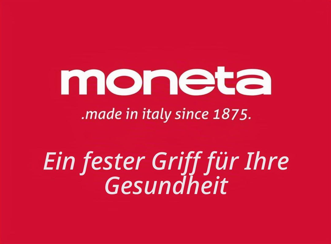 Moneta Etnea Nudelkocher mit verschliessbarem Deckel, Spaghettipfanne, spülmaschinenfest, 22 cm Sing