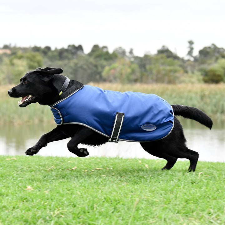 Weatherbeeta Comfitec Windjacke Frei Hundemantel - Dunkelblau/Weiss/Grau 30 cm Dunkelblau/Grau/Weiss