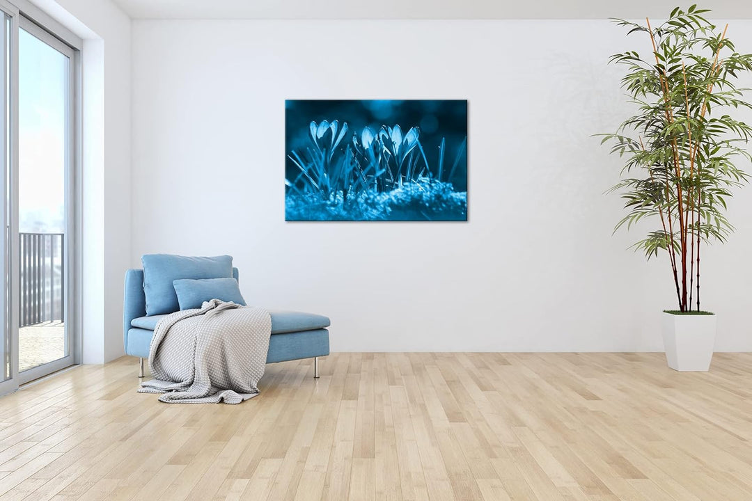 deyoli beeindruckende Krokusse im Frühling Format 80x60 Effekt: Monocrome Blau als Leinwandbild, Mot