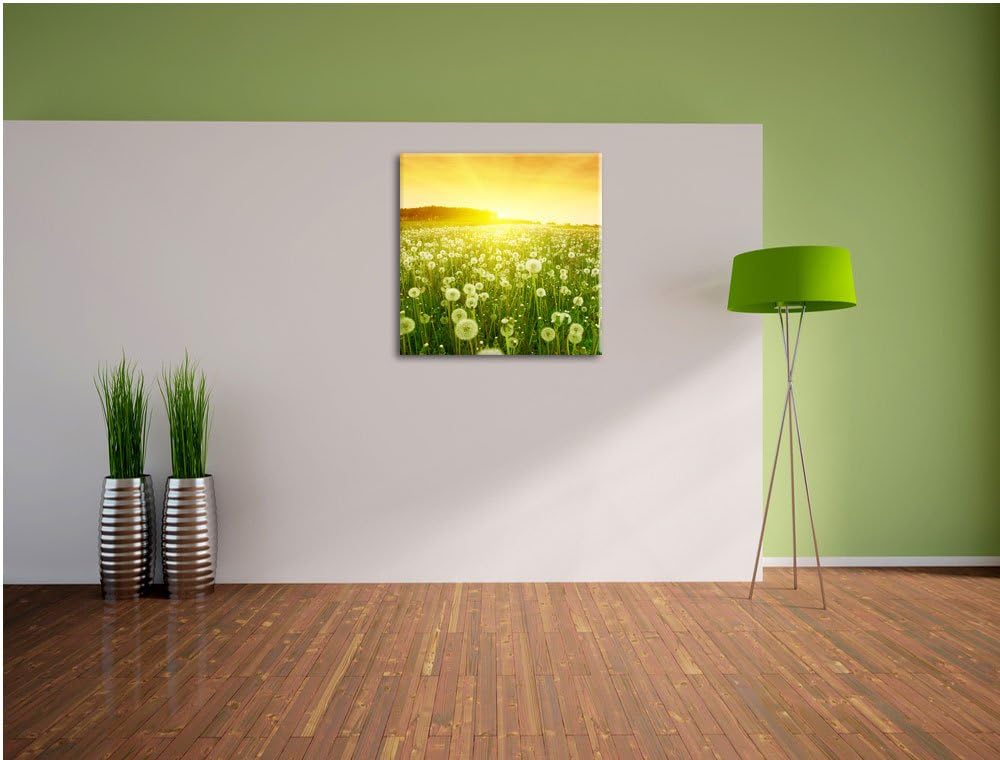 Pixxprint Pusteblumen Sonnenuntergang als Leinwandbild Quadratisch/Grösse: 70x70 / Wandbild/Kunstdru
