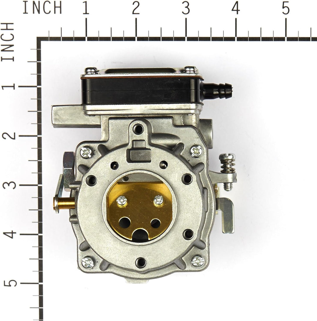 Briggs & Stratton 693480 Vergaser für Modelle 499306, 495181 und 495026