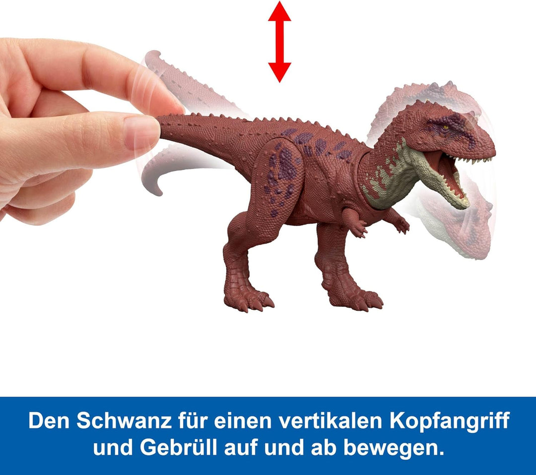 Mattel Jurassic World: Die Wiedergeburt Wild Roar Dinosaurierspielzeug, Aucasaurus mit steuerbarem B