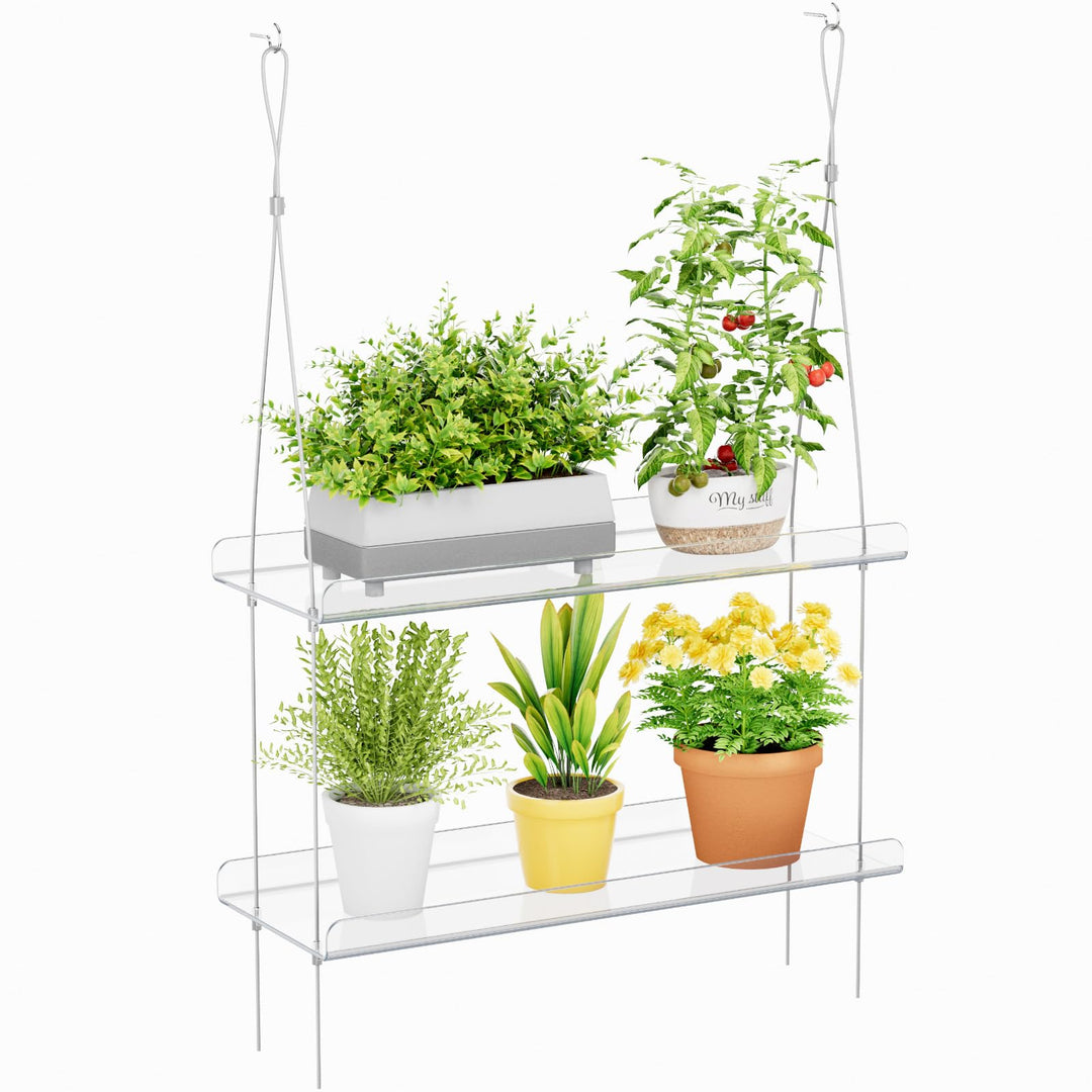 Lifewit Wandregal Blumentopf, 2 Stufen Transparent Vertiefung Kunststoff Pflanzenregal Schwimmende f
