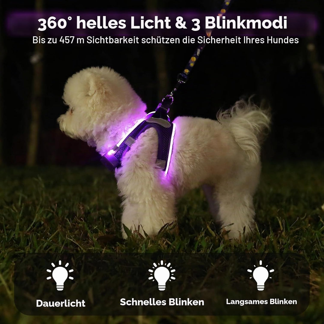 Leuchtend Hundegeschirr LED Aufladbar - Leuchtgeschirr Leuchtendes &amp; Reflektierendes für Welpe Klein