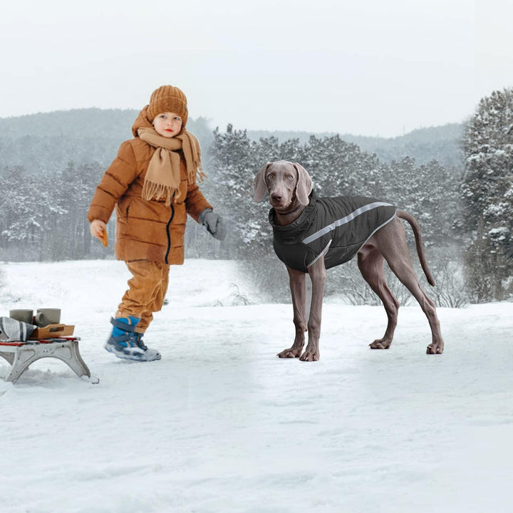 Idepet Wasserdichter Hundemantel Winter Warme Jacke, Winddichte Haustierkleidung Hundejacke Outfit f