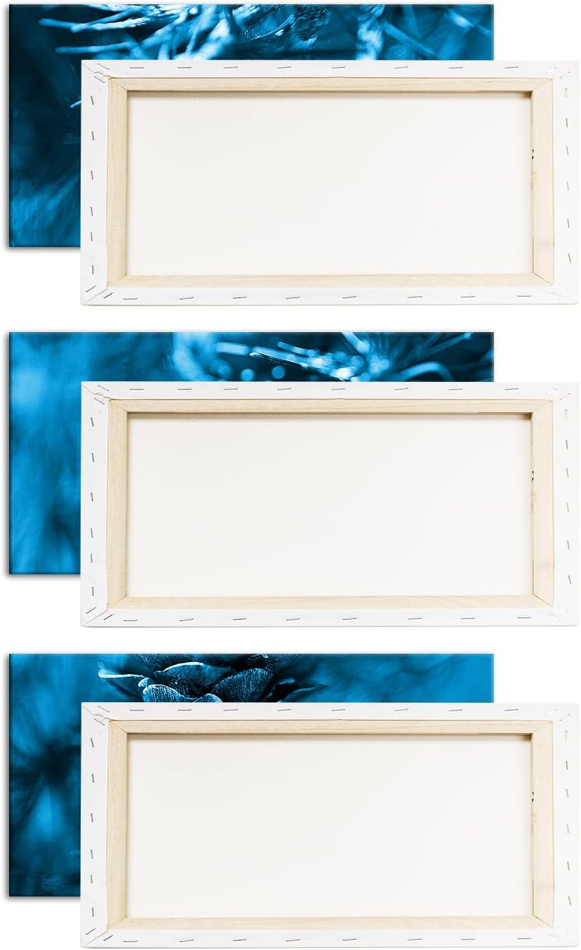 deyoli Tannenzapfen am Ast Format 120x80 3Teilig Effekt: Monocrome Blau als Leinwandbild, Motiv fert