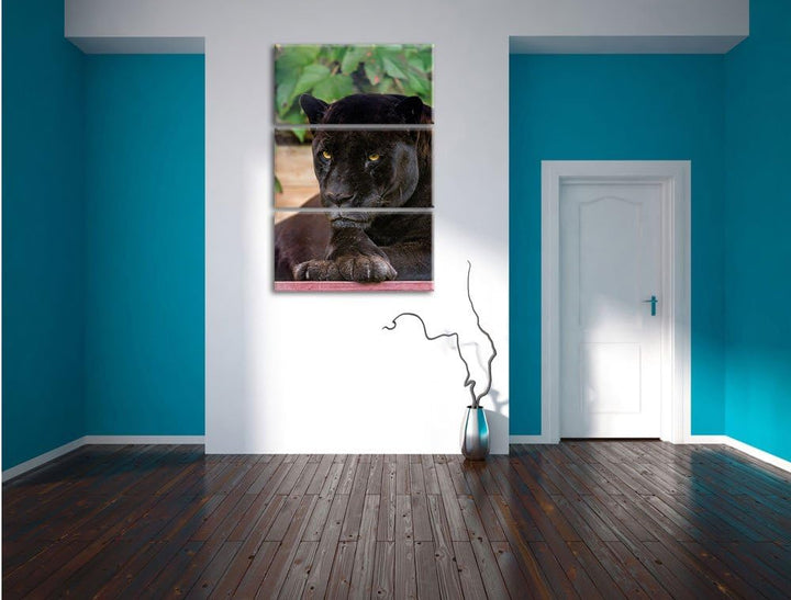 Pixxprint schöner schwarzer Panther 3-Teiler Leinwandbild 120x80 Bild auf Leinwand