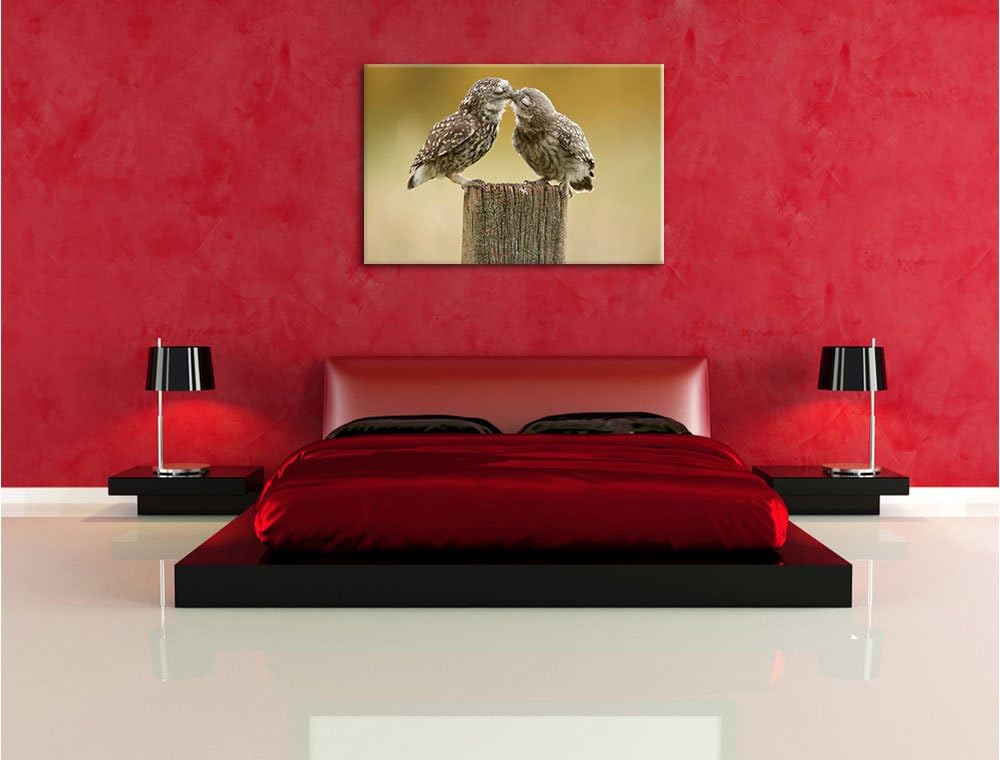 Pixxprint Küssende Eulen, Format: 100x70 auf Leinwand, XXL riesige Bilder fertig gerahmt mit Keilrah