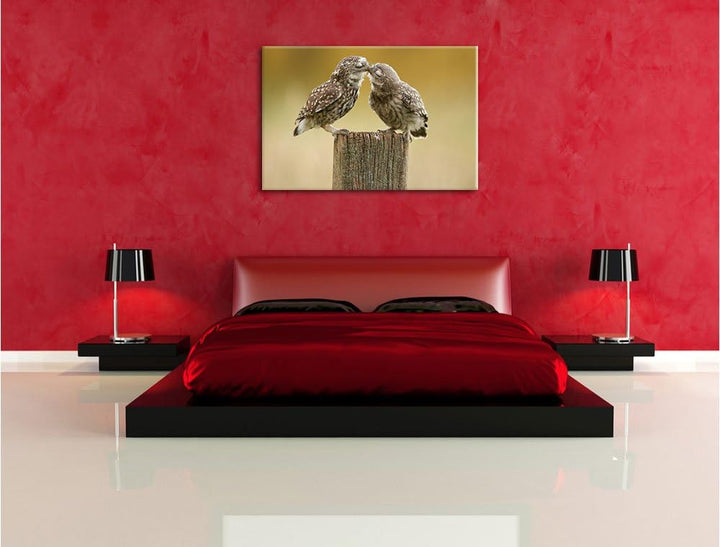 Pixxprint Küssende Eulen, Format: 100x70 auf Leinwand, XXL riesige Bilder fertig gerahmt mit Keilrah