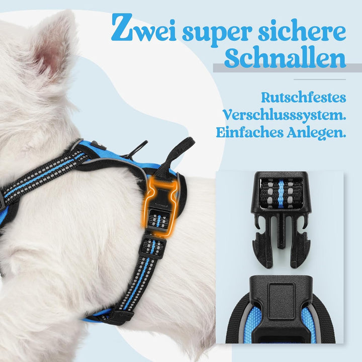 rabbitgoo Hundegeschirr Kleine Hunde, Anti Zug Geschirr mit Kontrolle, No Pull Verstellbar Hundegesc