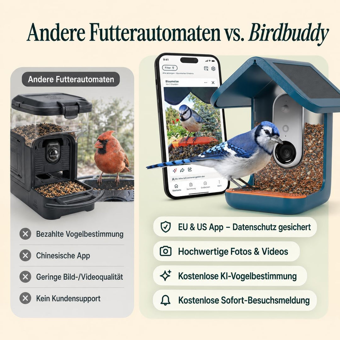 Birdbuddy PRO Solar Smart Bird Feeder mit Kamera – KI-Vogelartenidentifizierung, 5-MP-Fotos, 2K-HD-V