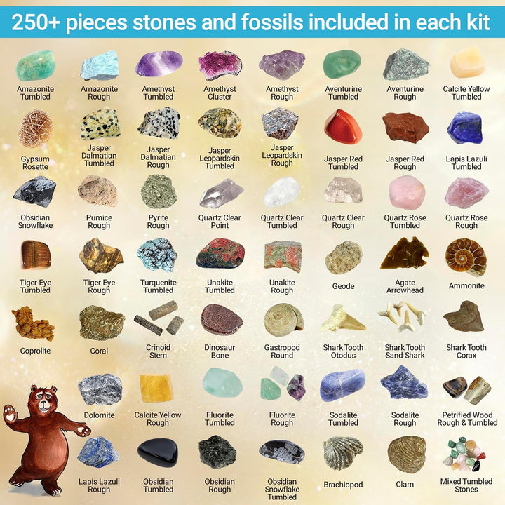 Dancing Bear's Rocks and Minerals Rock & Mineral Collection Kit mit 2 Easy Pause Geodes Activity Kit