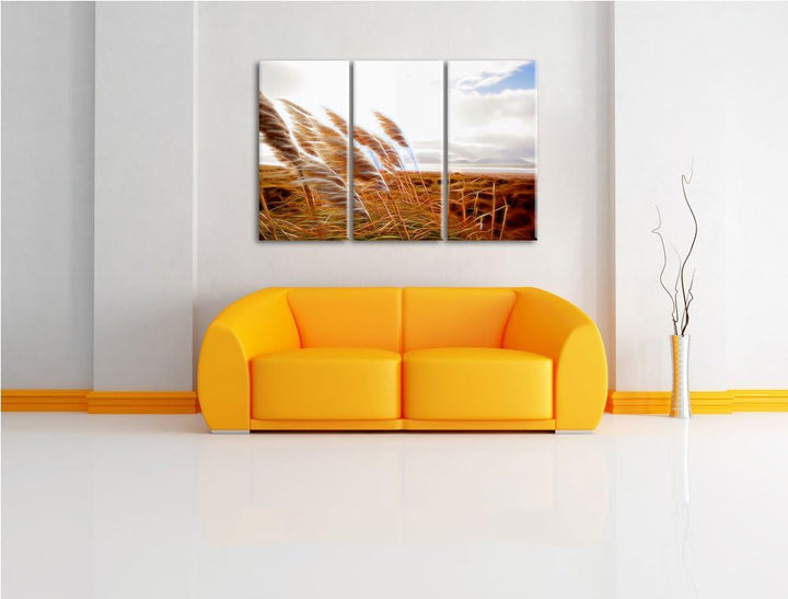 Schönes Schilf in den Dünen Spezial 3-Teiler Leinwandbild 120x80 Bild auf Leinwand, XXL riesige Bild