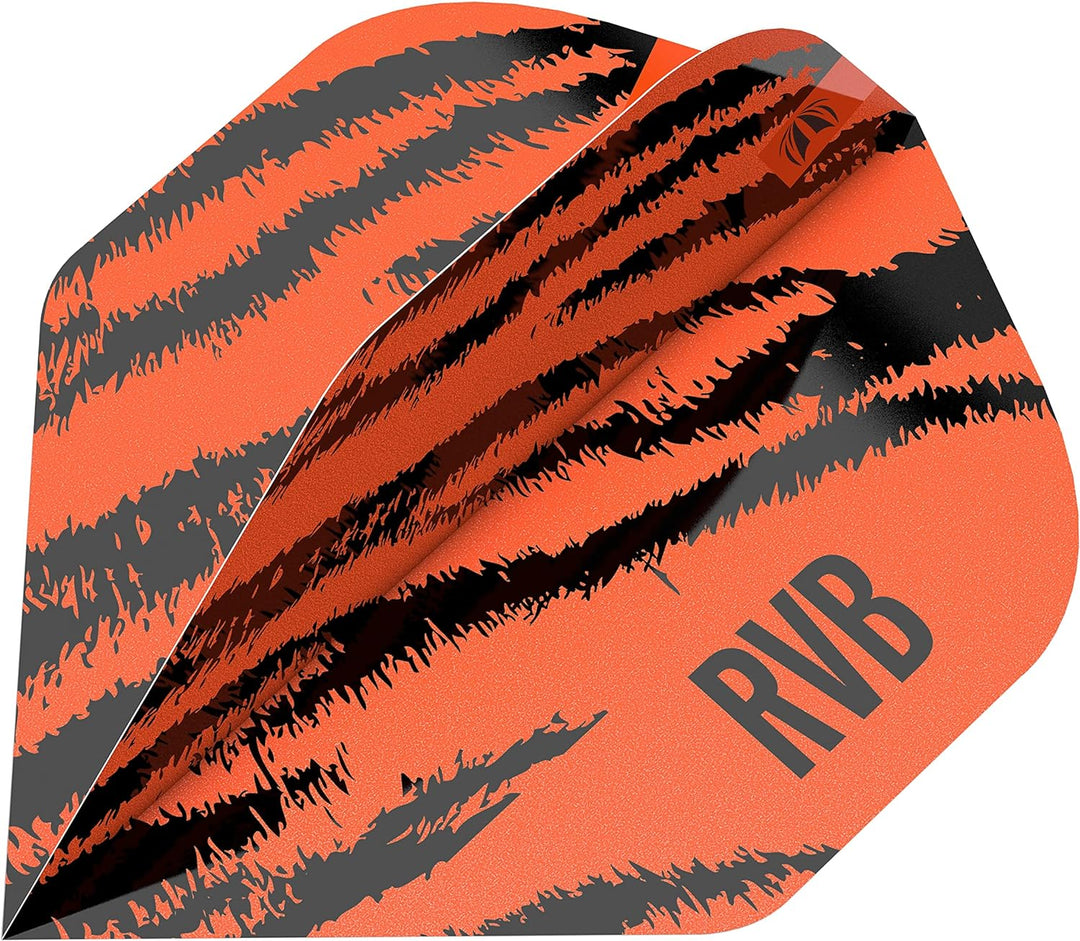 Target Raymond Van Barneveld RVB Brass - Steeldarts 22 Gramm