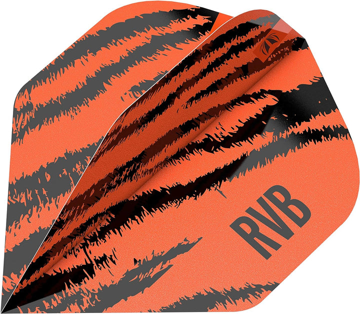 Target Raymond Van Barneveld RVB Brass - Steeldarts 22 Gramm