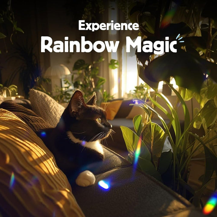 SOLARBETRIEBENER Regenbogen - Macher Zauber Projektor, Rainbow Maker mit Solarantrieb Single, Regenb